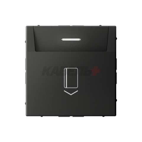 ARTGALLERY ВЫКЛЮЧАТЕЛЬ карточный 10А, без задержки времени, быстр.клемм., БАЗАЛЬТ