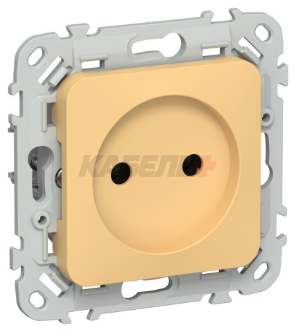 FLITE Розетка без заземления без защитных шторок безвинтовое крепление 10А РС01-1-ФлЗ золотарник IEK