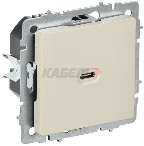 BRITE Розетка USB C 65Вт высокоскоростная зарядка РЮ12-1-БрКр бежевый IEK