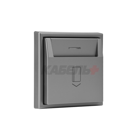 ARTGALLERY 2-клавишный ВЫКЛЮЧАТЕЛЬ с подсветкой, сх.5а, 10АХ, механизм, быстрозажим. клем., СТАЛЬ