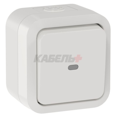 TORS Переключатель одноклавишный с индикацией 10А IP55 TS302 белый IEK