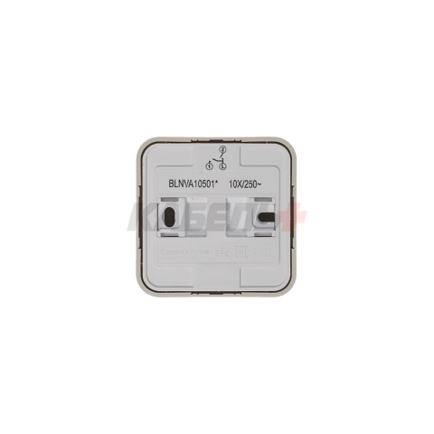 BLANCA О/У 2-клавишный ВЫКЛЮЧАТЕЛЬ (сх.5) ИЗОЛ.ПЛ., 10А, 250В, БЕЖЕВЫЙ
