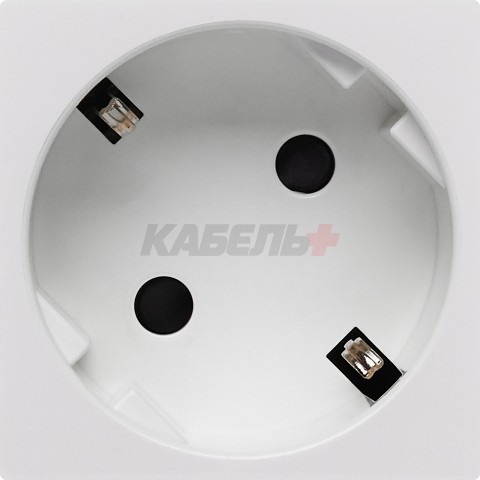 Розетка 45град с заземляющим контактом защитной шторкой и винтовым зажимом (2 модуля) белая