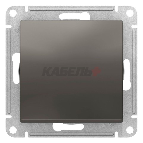 Переключатель 1-клавишный Schneider Electric AtlasDesign ATN000961 Сталь