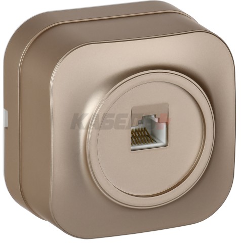 GLORY Розетка для открытой установки компьютерная RJ45 кат.5E РК10-ХШм шампань матовый IEK