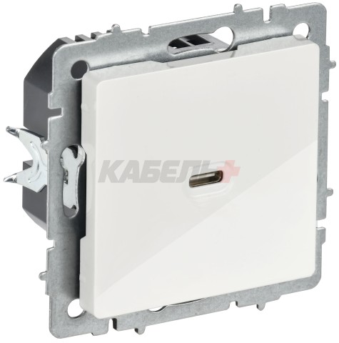 BRITE Розетка USB C 65Вт высокоскоростная зарядка РЮ12-1-БрБ белый IEK