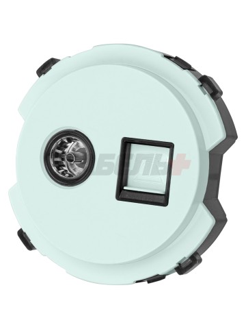 Розетка телефонная RJ11 + TV розетка оконечная фисташковая, "Байкал" TDM