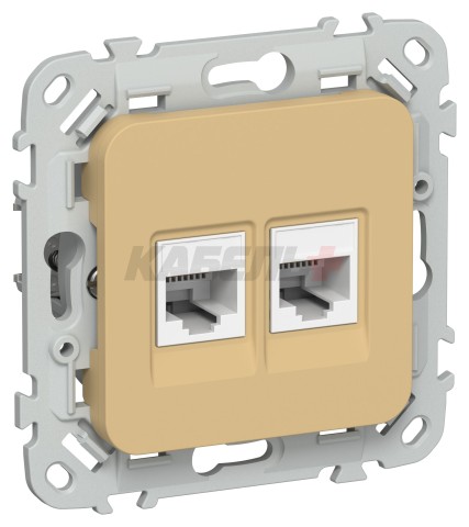 FLITE Розетка 2-местная компьютерная RJ45 категория 5Е UTP РК5е-2-0-ФлШм шамуа IEK