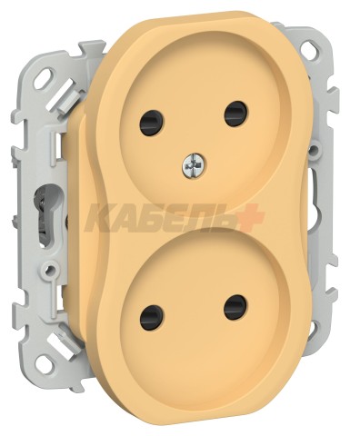 FLITE Розетка 2-местная без заземления с защитными шторками безвинтовое крепление 10А РСш02-1-ФлЗ золотарник IEK