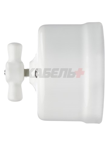 Выключатель фарфоровый поворотный 2-кл. с ручкой (бантик) 10А белый «Болонь» TDM