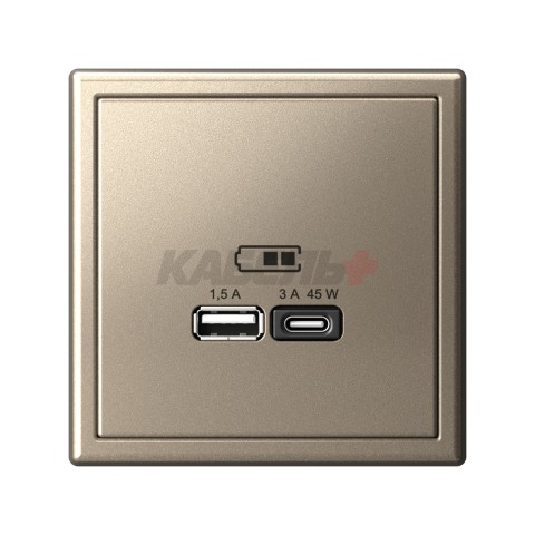 ARTGALLERY USB РОЗЕТКА A + тип-C 45Вт высокоскор.заряд. QC, PD, механизм, ШАМПАНЬ