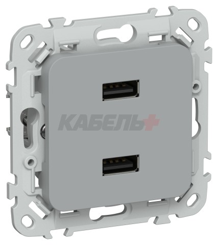 FLITE Розетка USB A+A 3,1А РЮ-2-ФлС серый IEK