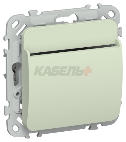 FLITE Выключатель карточный 30А ВК-0-ФлП панг IEK