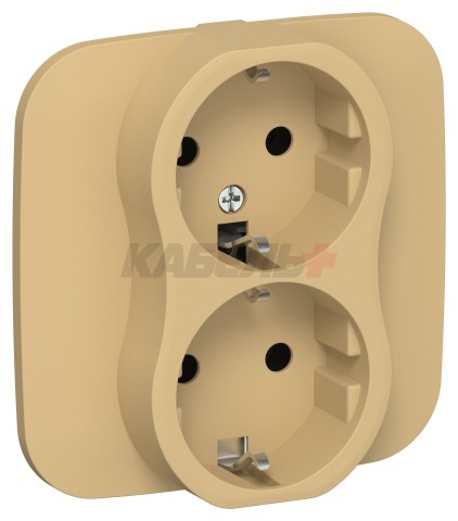 FLITE Розетка 2-местная с заземлением без защитных шторок 16А РС12-0-А-ФлШм шамуа IEK