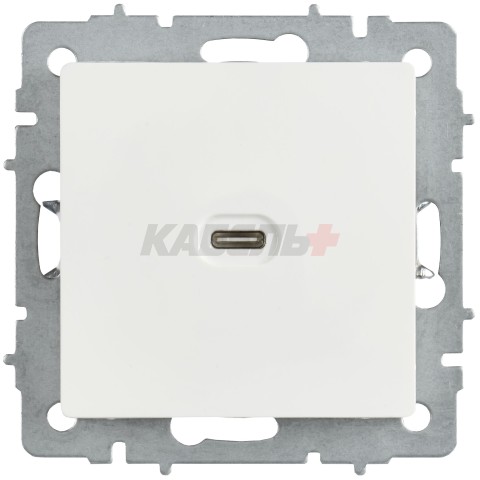 BRITE Розетка USB C 65Вт высокоскоростная зарядка РЮ12-1-БрБ белый IEK