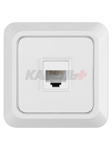 Розетка компьютерная (RJ-45) открытой установки IP20, белая "Ладога" TDM