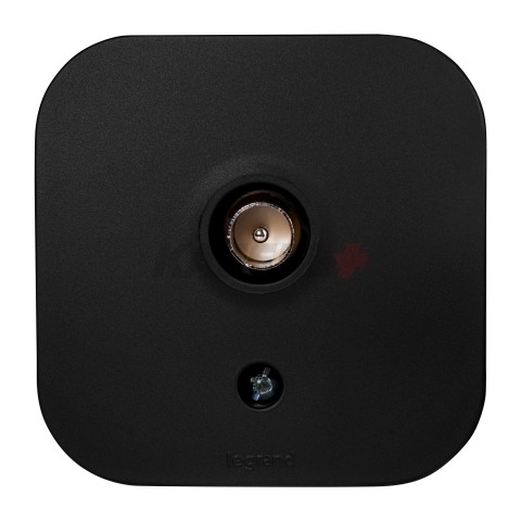 QUTEO Розетка для открытой установки TV тип звезда чёрный матовый