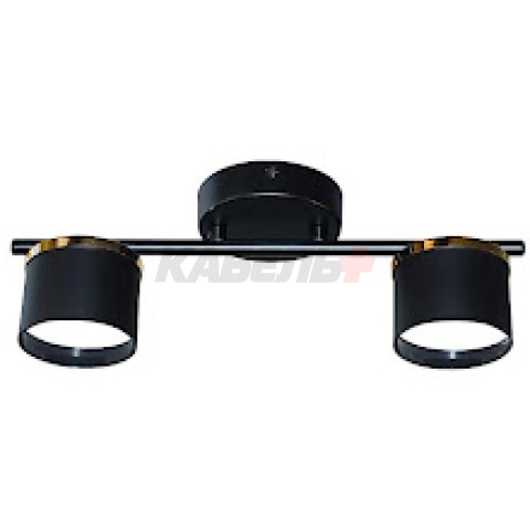 Светильник F60309/2 черный/золото