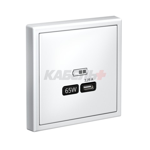 ARTGALLERY USB РОЗЕТКА тип-С 65Вт высокоскор.заряд. QC, PD, механизм, ЛОТОС