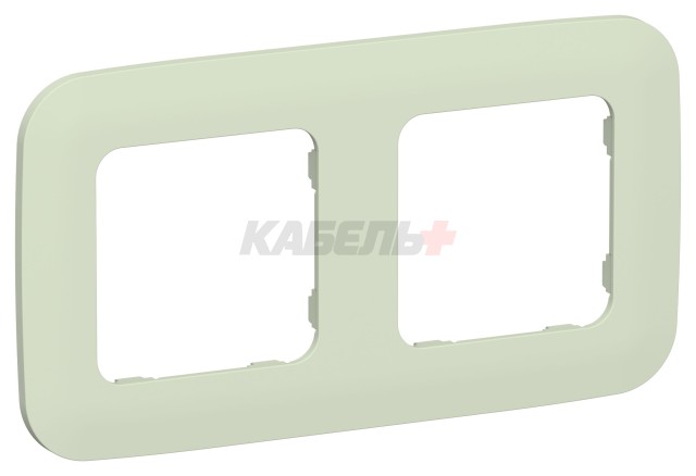 FLITE Рамка 2-местная РУ-2-А-ФлП панг IEK