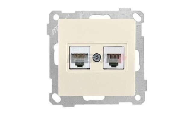 21 - Розетка телефонная RJ-12+RJ-45 кат.5е, сл.кость