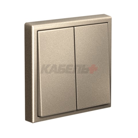 ARTGALLERY 2-клавишный ПЕРЕКЛЮЧАТЕЛЬ, 10АХ, механизм, быстрозажим. клем., ШАМПАНЬ