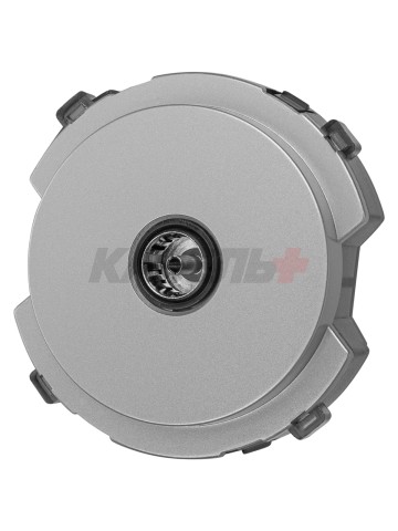 Розетка TV проходная платина, "Байкал" TDM