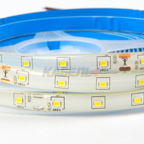 Лента светодиодная GLS-2835-60-4.8-24-IP65-6