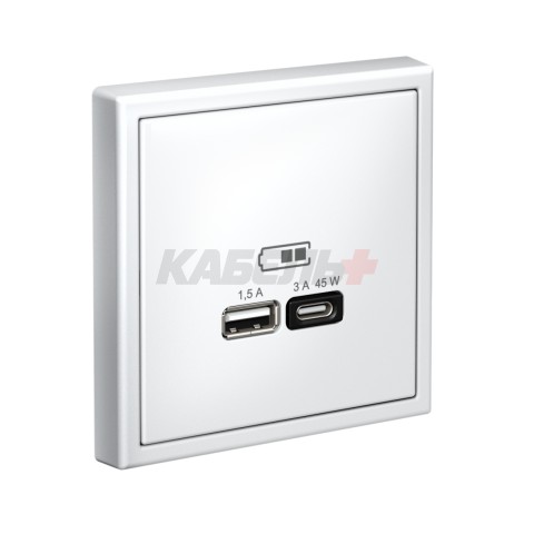 ARTGALLERY USB РОЗЕТКА A + тип-C 45Вт высокоскор.заряд. QC, PD, механизм, БЕЛЫЙ