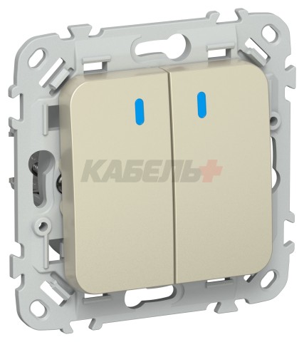 FLITE Выключатель 2-клавишный с индикацией 10А ВС12-1-1-ФлШ шампань IEK