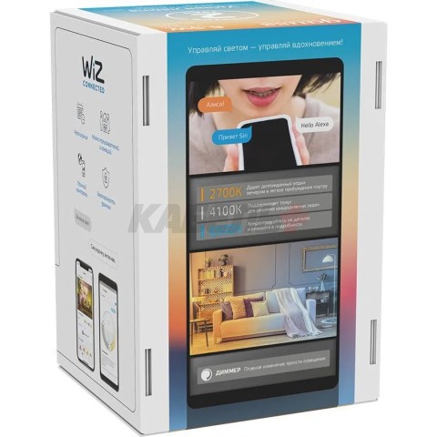 Лампа Gauss Smart Home Filament G95 6,5W 720lm 2000-5500К E27 изм.цвет.темпр.+диммирование LED