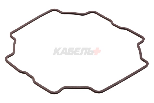 Прокладка головки рабочего цилиндра ГМП-100 "Алмаз" TDM