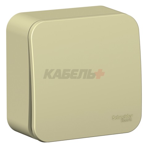 BLANCA О/У 1-клавишный ВЫКЛЮЧАТЕЛЬ (сх.1) ИЗОЛ.ПЛ., 10А, 250В, БЕЖЕВЫЙ