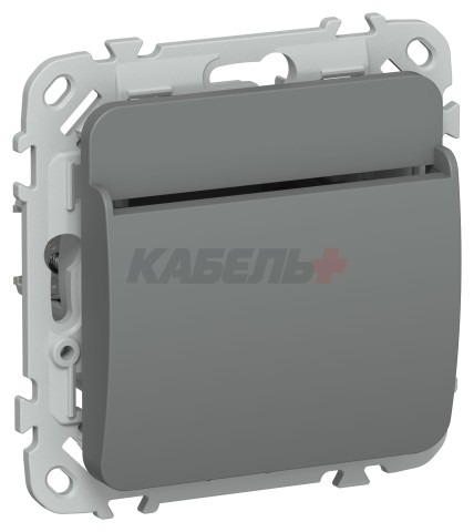 FLITE Выключатель карточный 30А ВК-0-ФлМА мокрый асфальт IEK