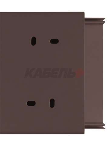 Кабель-канал 100х60 (2 м) "ЭКО" 3D венге TDM