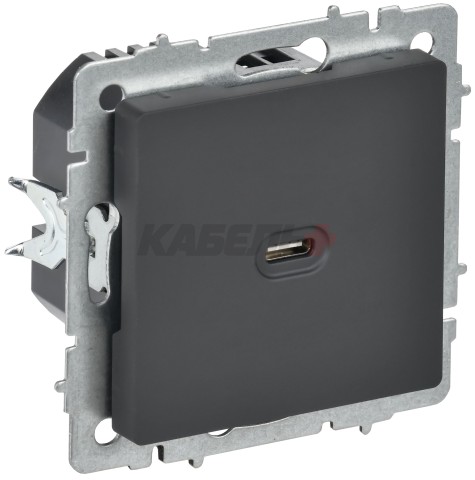 BRITE Розетка USB C 65Вт высокоскоростная зарядка РЮ12-1-БрГ графит IEK