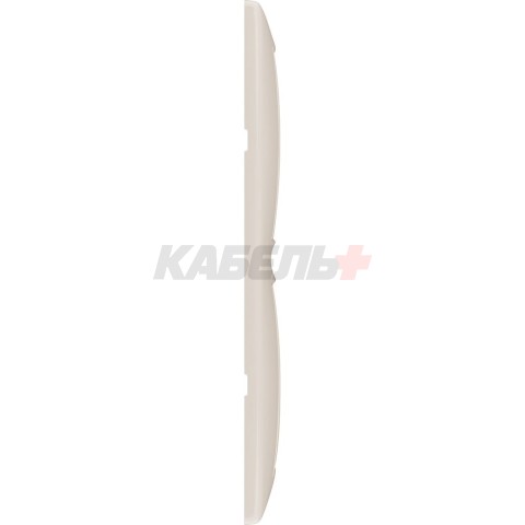 Рамка 2п гор Сл.кость Valena