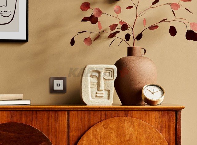 Etika - Зарядное устройство с двумя USB-разъемами Type A + Type C, 3000mA (сл.кость)