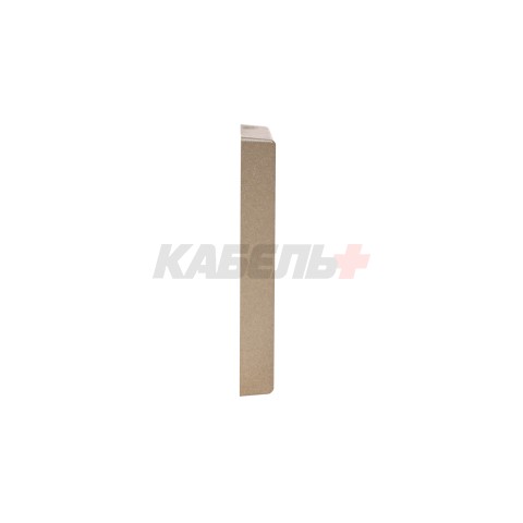 ARTGALLERY 1-постовая РАМКА, ШАМПАНЬ