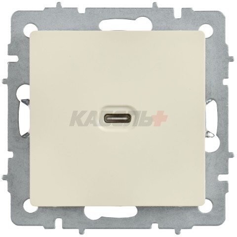 BRITE Розетка USB C 65Вт высокоскоростная зарядка РЮ12-1-БрКр бежевый IEK