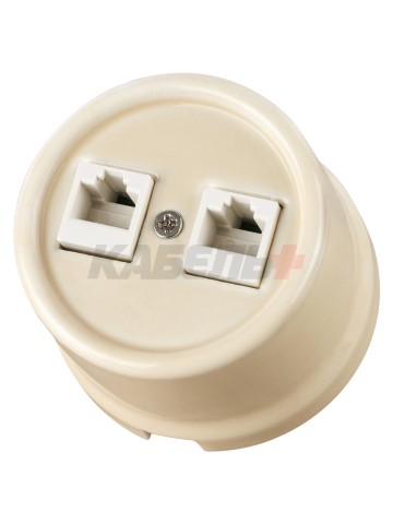 Розетка двойная компьютерная RJ45 сл. кость «Болонь» TDM