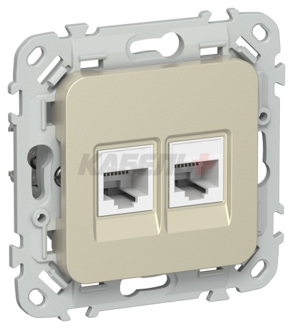 FLITE Розетка 2-местная компьютерная RJ45 категория 5Е UTP РК5е-2-0-ФлШ шампань IEK