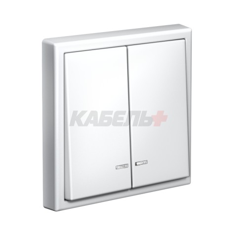 ARTGALLERY 2-клавишный ВЫКЛЮЧАТЕЛЬ с подсветкой, сх.5а, 10АХ, механизм, БЕЛЫЙ