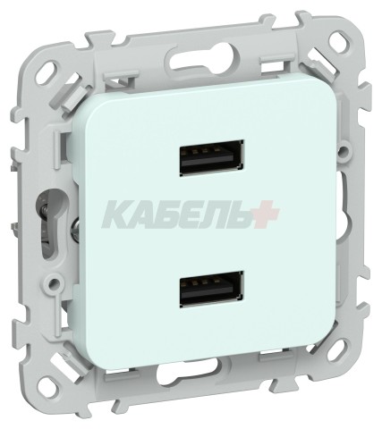 FLITE Розетка USB A+A 3,1А РЮ-2-ФлХЛ холодный лед IEK