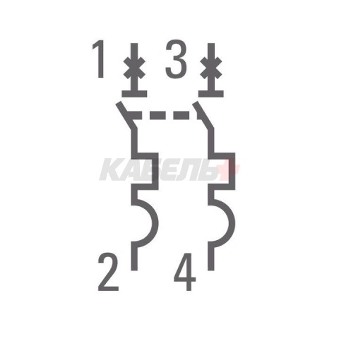 Авт. выкл. 2P 25А (C) 4,5kA ВА 47-63 EKF PROxima