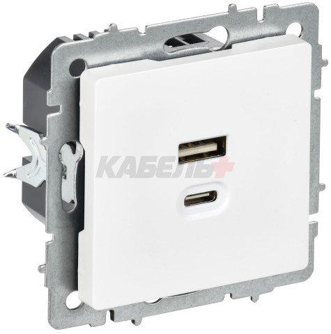 BRITE Розетка USB A+C 45Вт высокоскоростная зарядка РЮ11-2-БрАБ арктический белый IEK