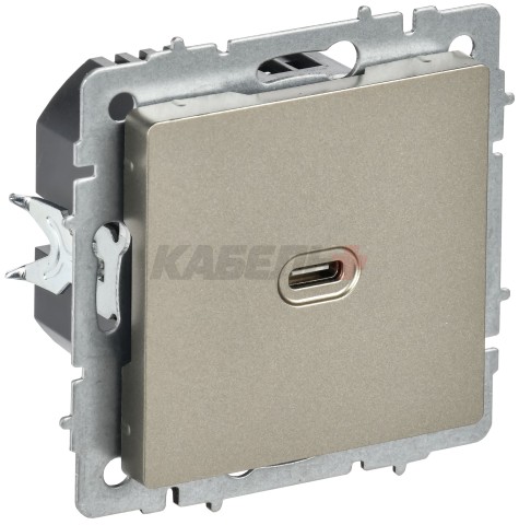 BRITE Розетка USB C 65Вт высокоскоростная зарядка РЮ12-1-БрШ шампань IEK