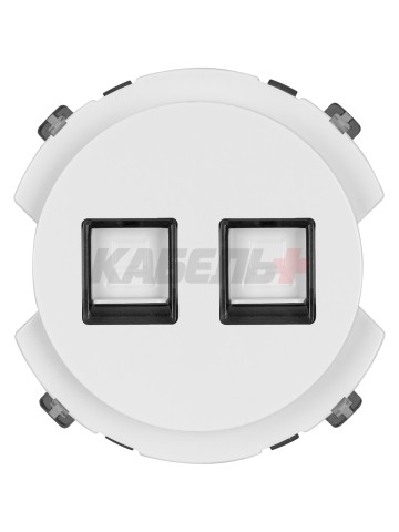 Розетка компьютерная двойная RJ45 белая, "Байкал" TDM