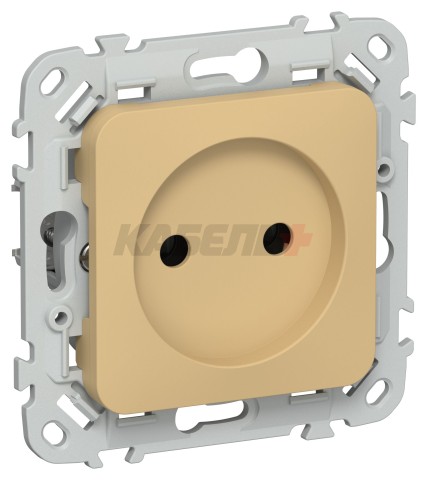 FLITE Розетка без заземления без защитных шторок безвинтовое крепление 10А РС01-1-ФлШм шамуа IEK