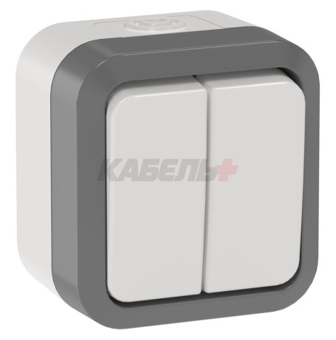 TORS Выключатель двухклавишный проходной 10А IP55 TS225 сер-бел IEK